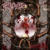 Death Reality- Bloodprints CD on Morbid Records